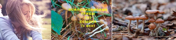 метамфетамин Сосновый Бор