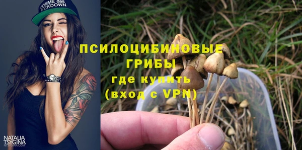 соль ск Богданович