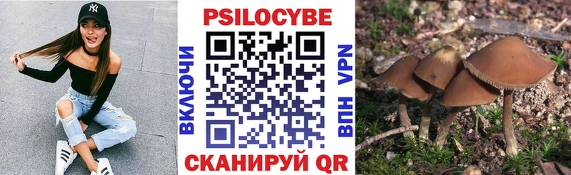 Псилоцибиновые грибы прущие грибы  магазин продажи наркотиков  Михайлов 